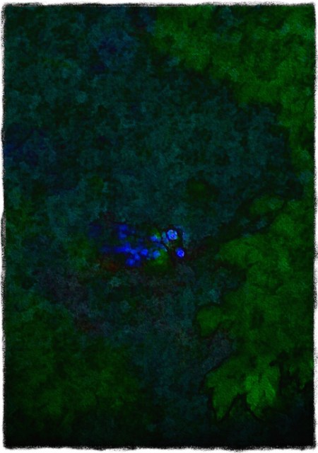 HydrangeasAtDuskMidtoneSatVibVignetteGrit 2