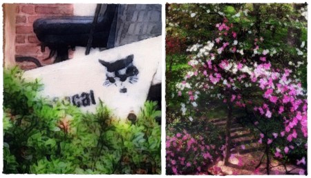 SummerRemodellingSpringMemory 2