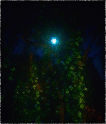 BlueMoonThroughWeepingCherryFullFrameMidtoneSatVignetteFrayed 2