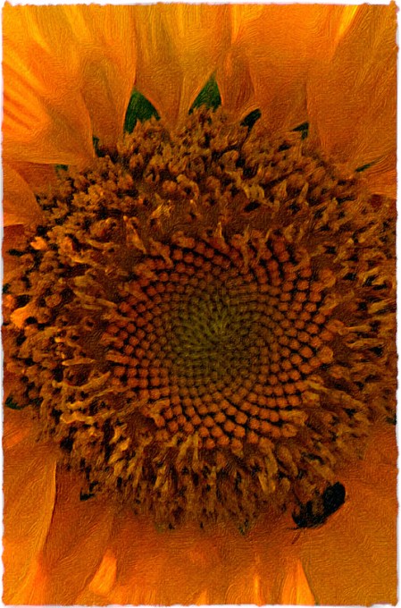 {"focusMode":1,"deviceTilt":-0.04299545288085938,"whiteBalanceProgram":0,"macroEnabled":false,"qualityMode":3}