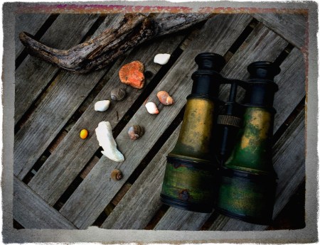 BinocularStillLifeFlareFinal 2