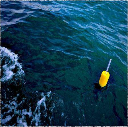 BlueGreenAndYellowSnapheal 2