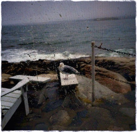 GaylordInGaleFlareGritColorFilter 2