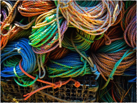 LobstermanLines3Flare 2