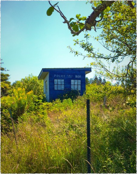 MonheganTARDISsnaphealFlareFrayed 2