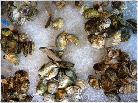 OysterPilesOldPaperBokeh3SatVibVignetteBrushup 2