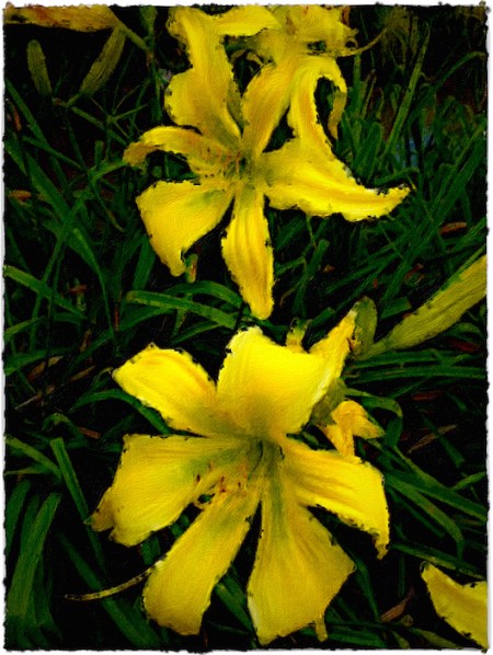 YellowDayLiliesOverpaintFlare2 2