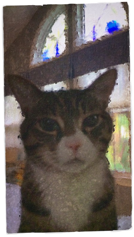 BreakfastCatLightbox3Midtone 2