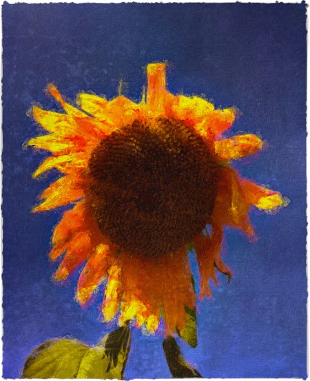 SummersEnd2_2CenterMidtonExposureGrainBrushup 2