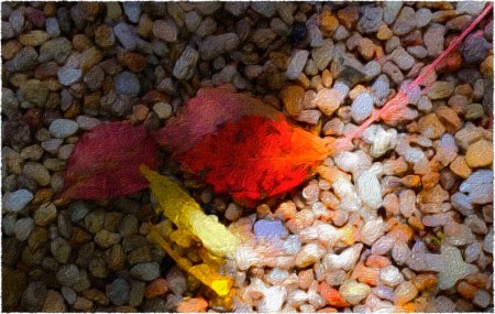 AutumnPathFlare1_2Frayed 2