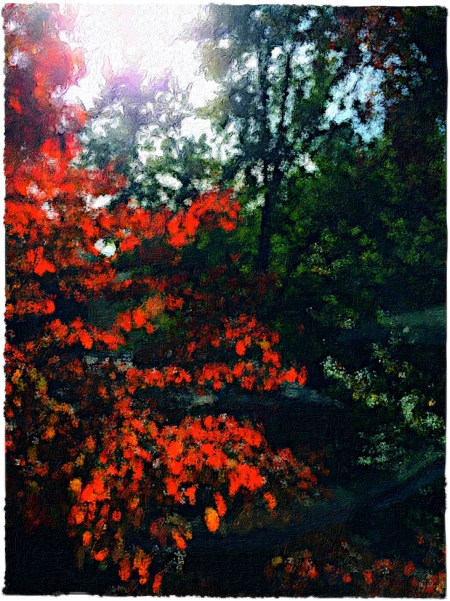 ThisOneFlareBrushedSnaphealBrushed 2