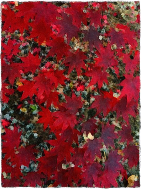 AbstractAutumnEnfusion1FlareGrit 2.jpg