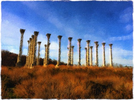 ColumnsSnaphealGrit 2