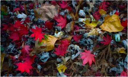 FallenAlt2FlareFrayed 2