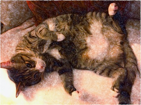 IMG_1241Flare1Frayed 2.jpg