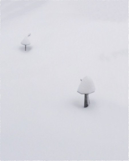 MidstormFlareFrayed 2.jpg