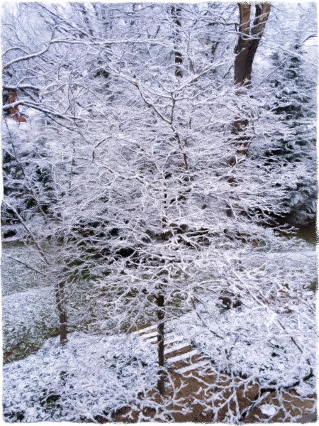 LateSnowEnfusion2FlareGrit 2.jpg