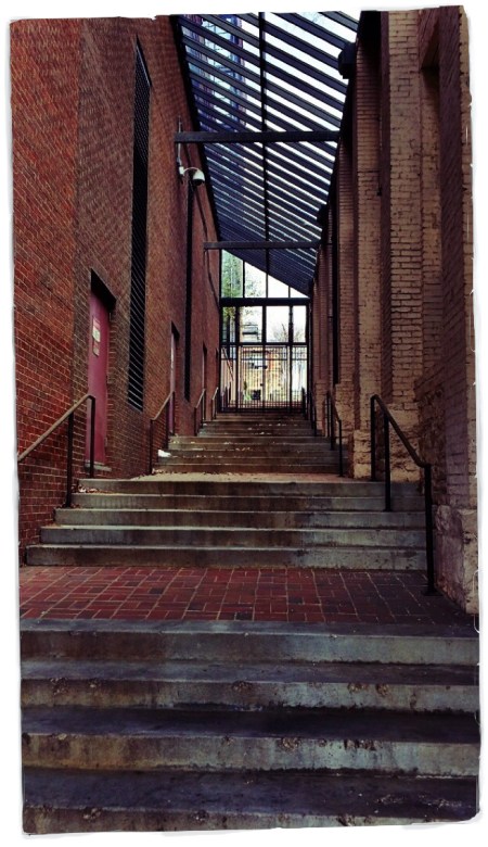 NoExitFlareLightBox3 2.jpg