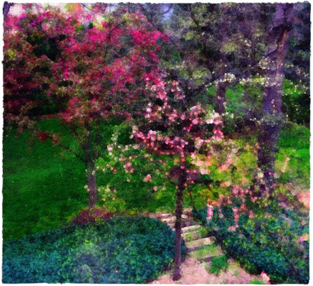 PainterlySpringEnfusion1FlareBrushupSquare 2.jpg