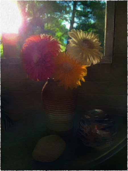 BackLitDaisiesEnfusion2FlareFrayed 2.jpg