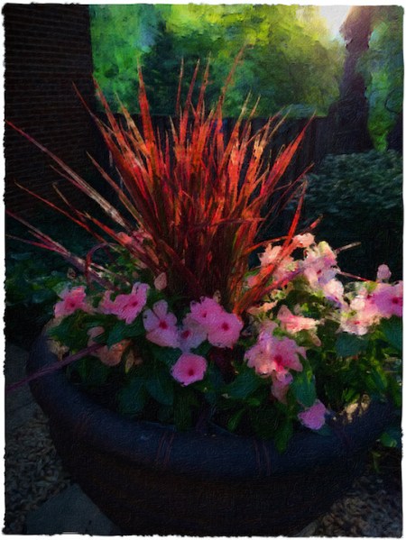 Planter4FlareBrushed 2.jpg