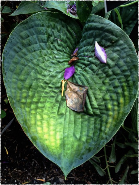 FragmentsOfAFadedSeason1Flare 2.jpg