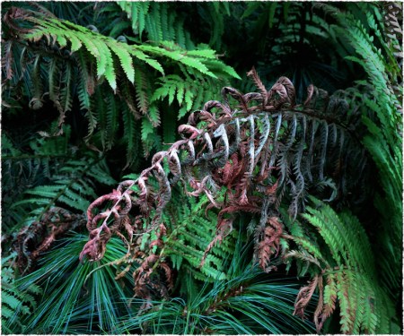 FragmentsOfAFadedSeason4Flare 2.jpg