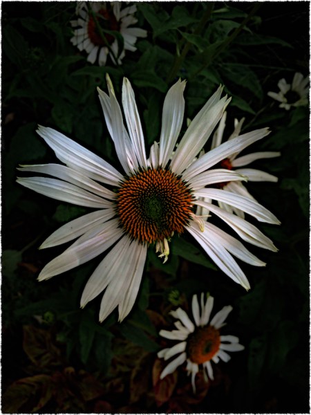 FragmentsOfAFadedSeason5Flare 2.jpg