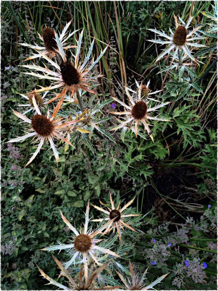 FragmentsOfAFadedSeason6Flare 2.jpg