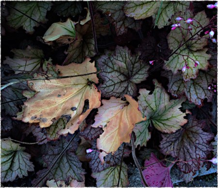 FragmentsOfAFadedSeason7Flare 2.jpg