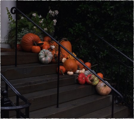 GeorgetownAutumnFlare1 2.jpg