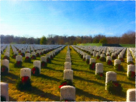 ArlingtonCemetaryXmasDay2016flare2b 2.jpg