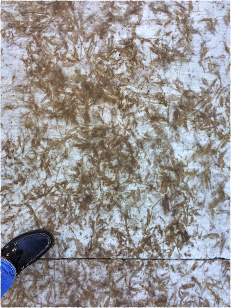 GhostedAutumnSidewalkStainAbstractFlare 2.jpg