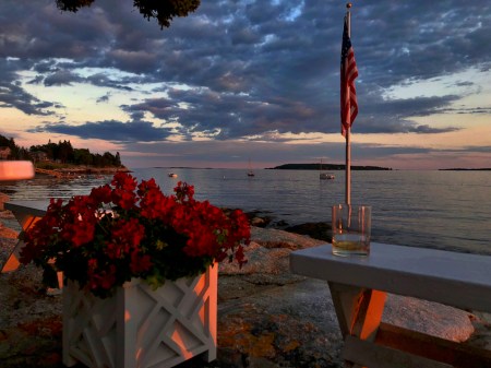 MyAnnualFrontYard 2.jpeg